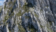 DSC09958