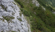 DSC09993