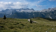 DSC00083