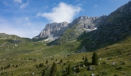 DSC00085