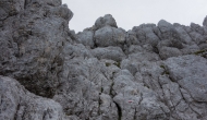 DSC00117