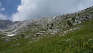 DSC00278