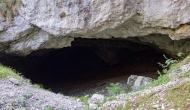 DSC00290