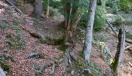 DSC00315
