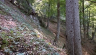 DSC00319