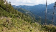 DSC00408