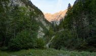 DSC00415