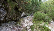 DSC00568