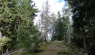 DSC00605