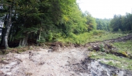 DSC00612
