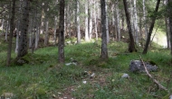 DSC00643