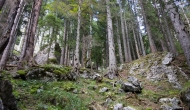 DSC00651