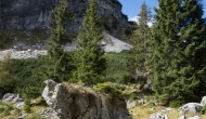 DSC00655