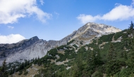 DSC00675