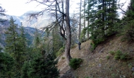 DSC00875