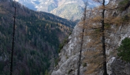 DSC00877