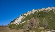 DSC00900