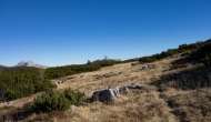 DSC00962
