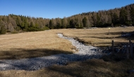 DSC00976