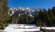 DSC01509