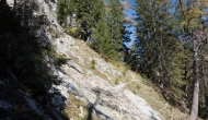 044-DSC03930