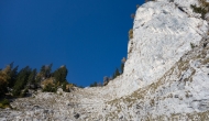 054-DSC03942
