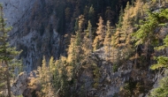 055-DSC03944