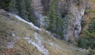 086-DSC03983