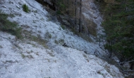089-DSC03986