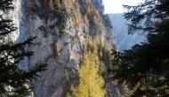 098-DSC04000