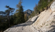 101-DSC04004