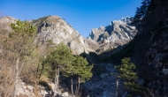 03-DSC04219