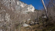 09-DSC04228