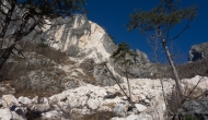 12-DSC04232