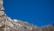 16-DSC04238