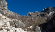 17-DSC04239