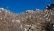 21-DSC04244
