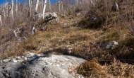 22-DSC04245