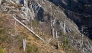 32-DSC04265