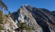 37-DSC04275