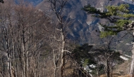 47-DSC04287