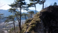 51-DSC04295
