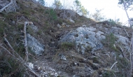 54-DSC04301
