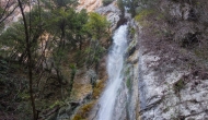 DSC01190