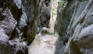 DSC01222