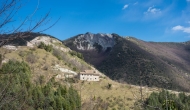 DSC01229