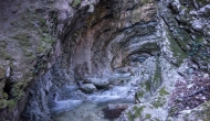 DSC01264