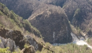20-DSC01327