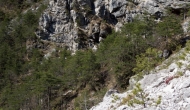 21-DSC01328