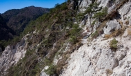 28-DSC01336